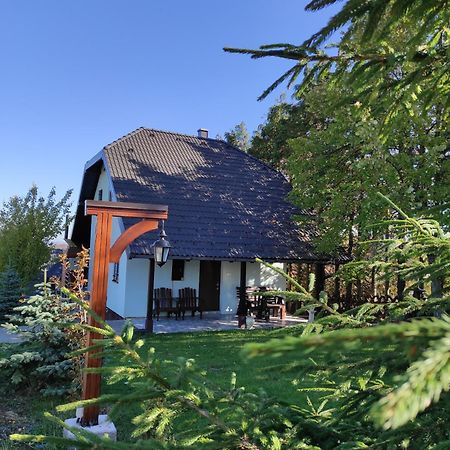 Vila Hajdi Planina Tara Bajina Basta Kültér fotó