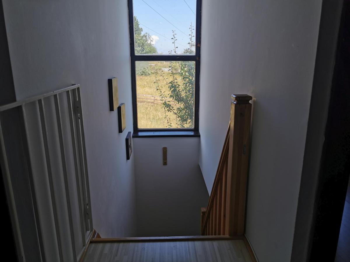 Vila Hajdi Planina Tara Bajina Basta Kültér fotó
