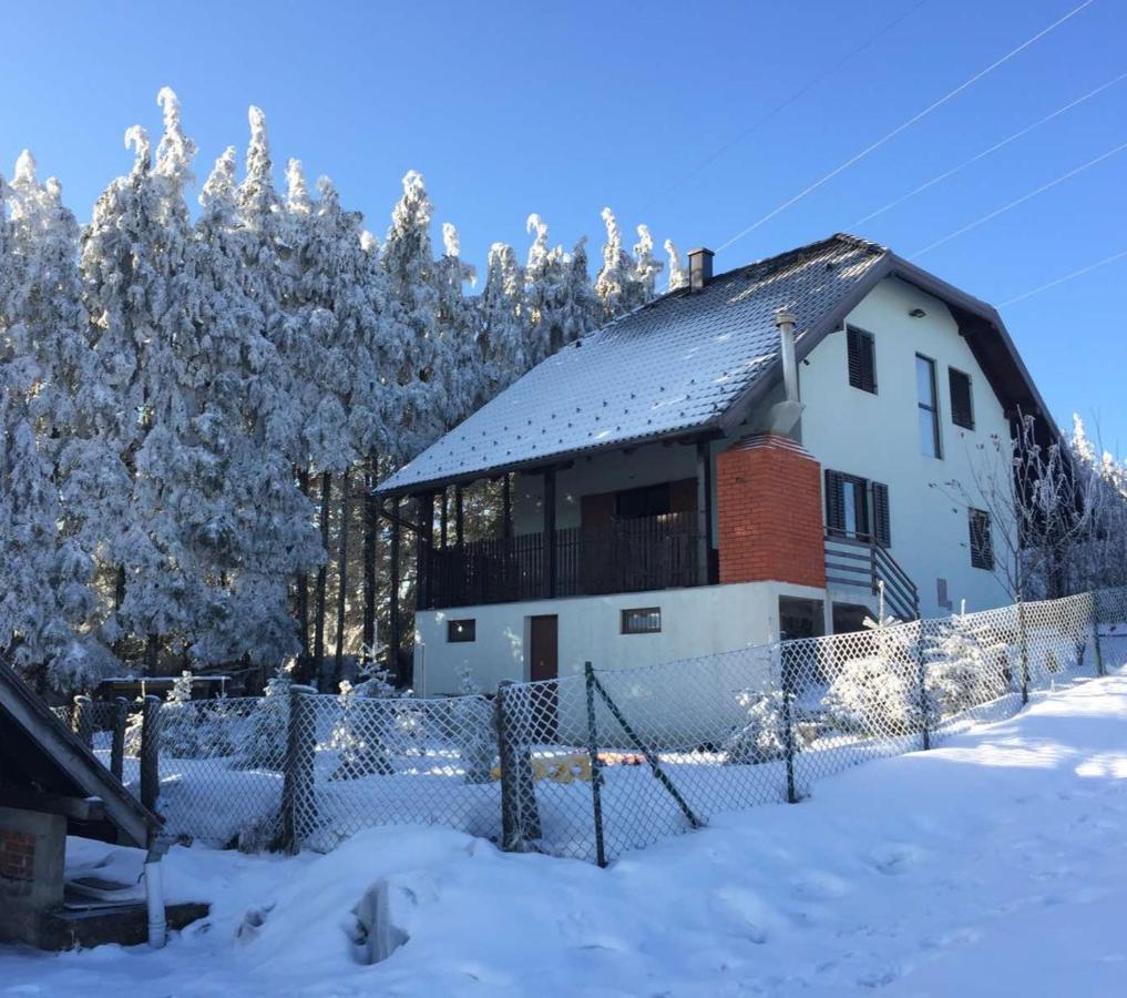 Vila Hajdi Planina Tara Bajina Basta Kültér fotó