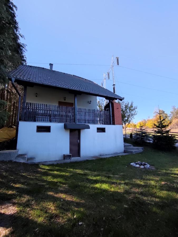 Vila Hajdi Planina Tara Bajina Basta Kültér fotó