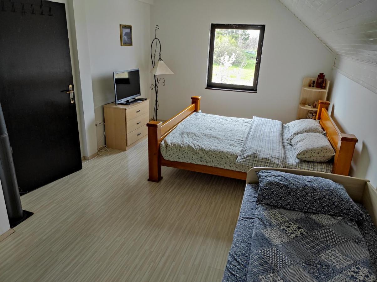 Vila Hajdi Planina Tara Bajina Basta Kültér fotó