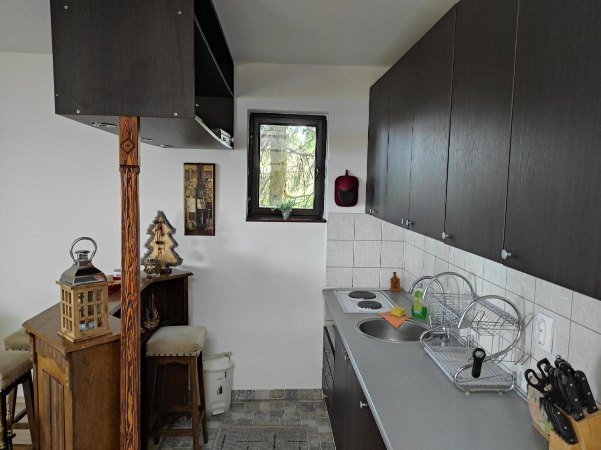 Vila Hajdi Planina Tara Bajina Basta Kültér fotó