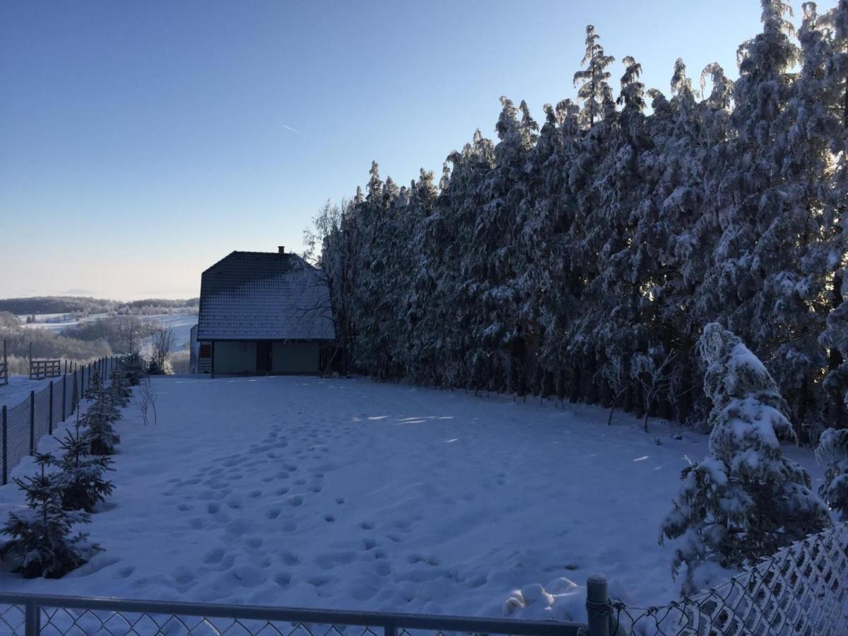 Vila Hajdi Planina Tara Bajina Basta Kültér fotó