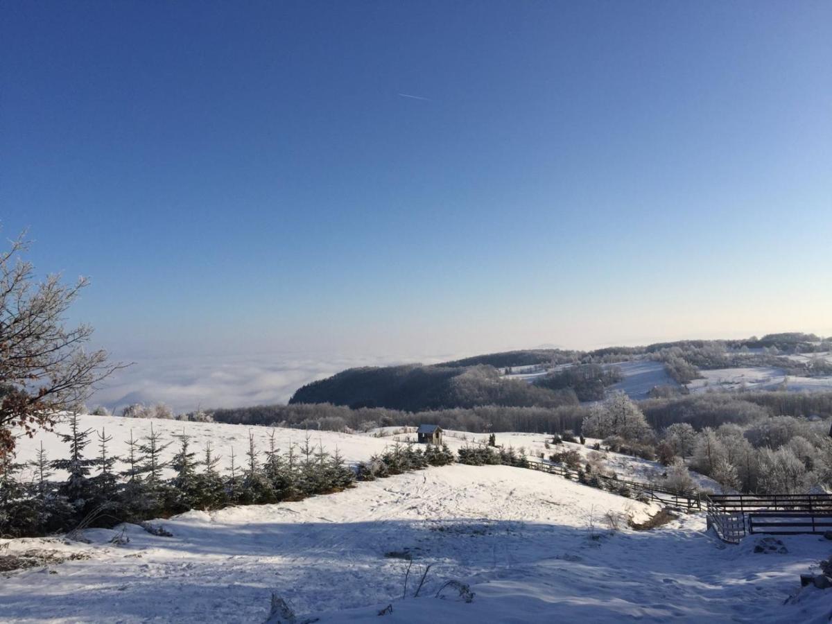 Vila Hajdi Planina Tara Bajina Basta Kültér fotó