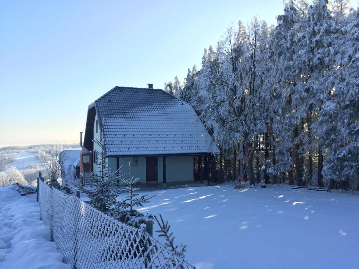 Vila Hajdi Planina Tara Bajina Basta Kültér fotó