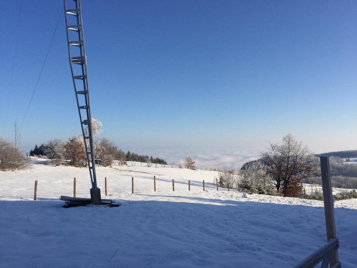 Vila Hajdi Planina Tara Bajina Basta Kültér fotó